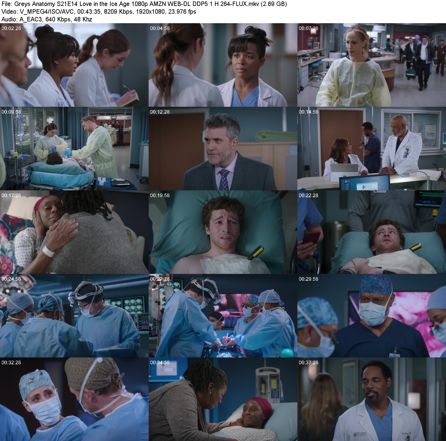 [Image: fnxea134jz0q.jpg]