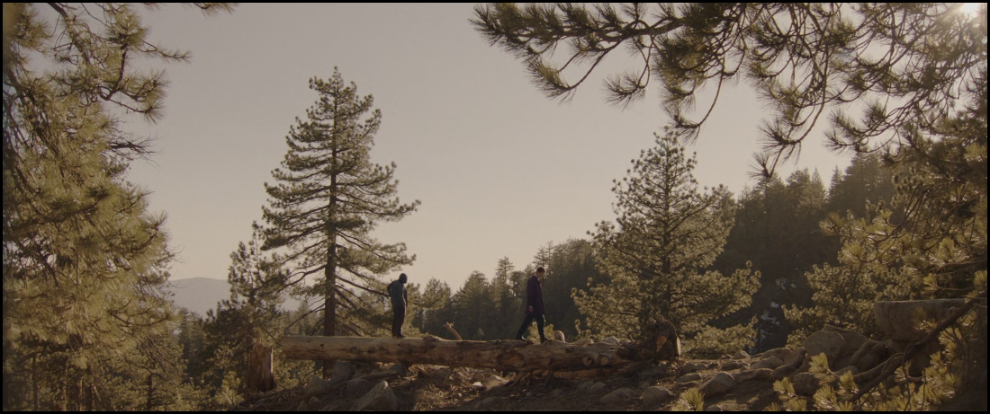 [Image: qd4g9eylo2v5.png]