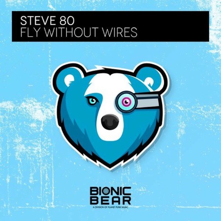 Steve 80 - Fly Without Wires (2020)