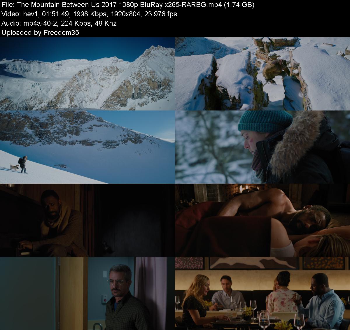 The-Mountain-Between-Us-2017-1080p-Blu-R