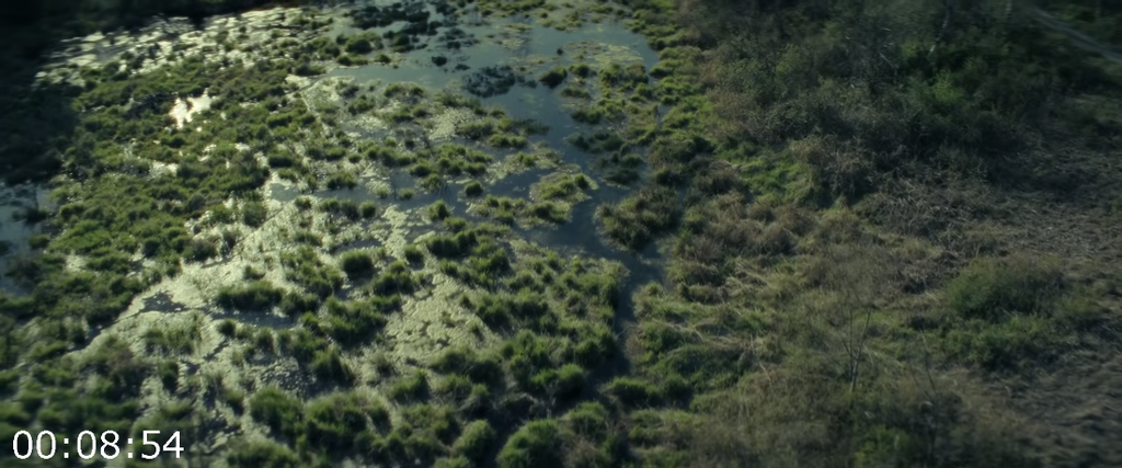 [Image: 017v5elwmhet.png]