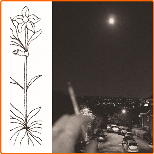 [Image: vtp71re5l6gn.png]