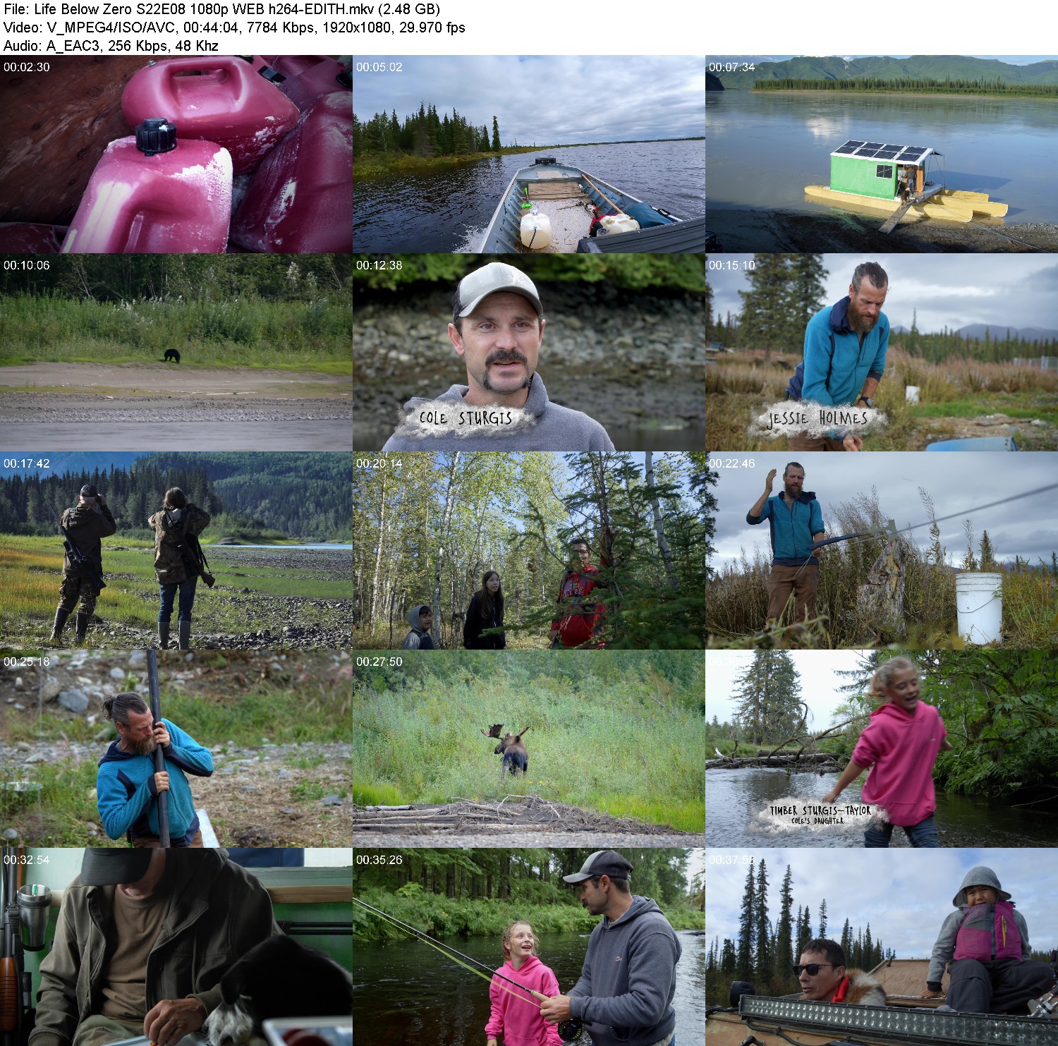 [Image: 7haez4st5q2k.jpg]