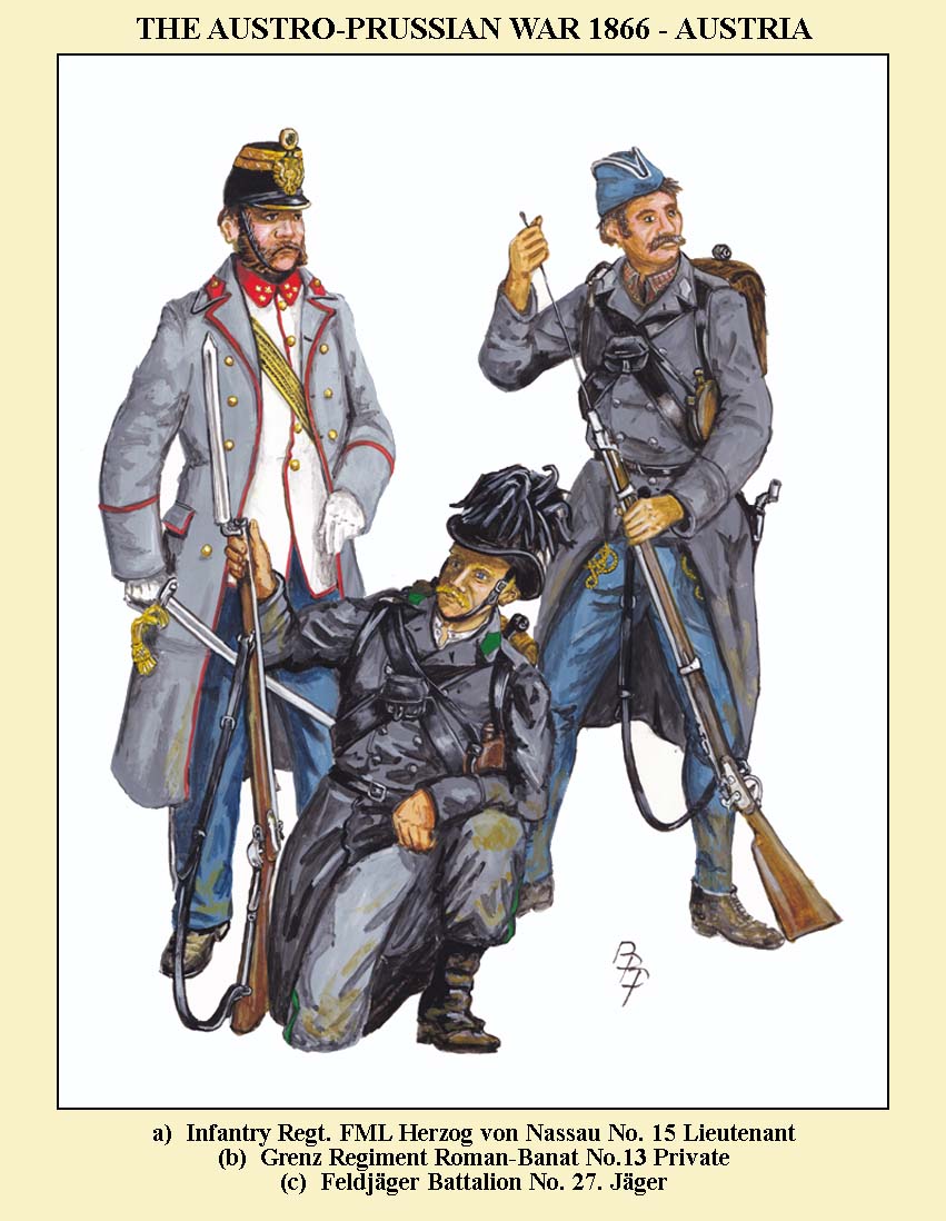 AUST-ALLIES-01.jpg