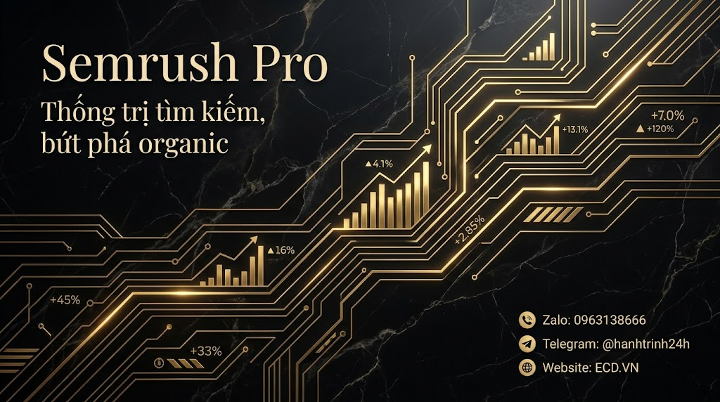 semrush pro traffic research