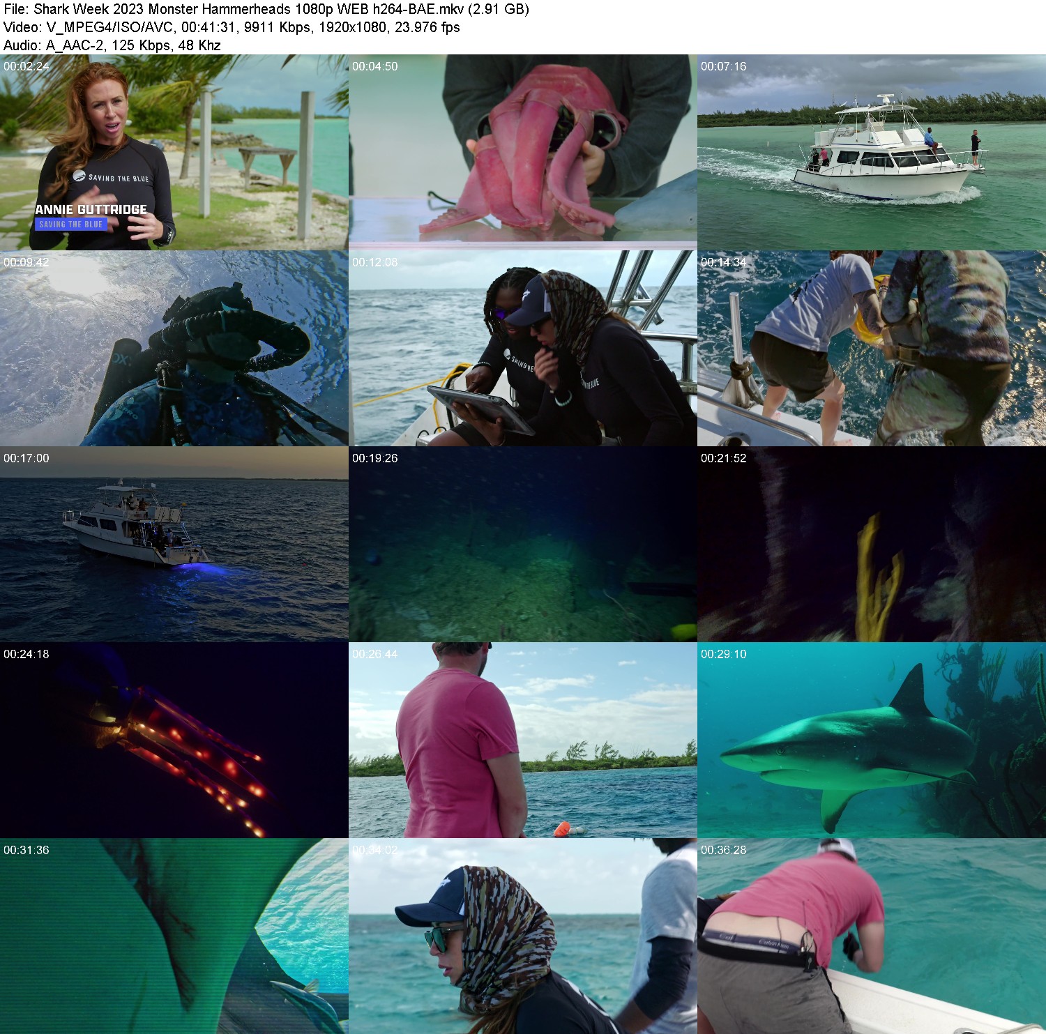 [Image: d6el0rf50qip.jpg]