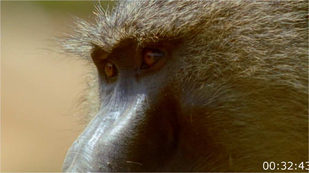 [Image: 7kn9g2yg3cvp.png]