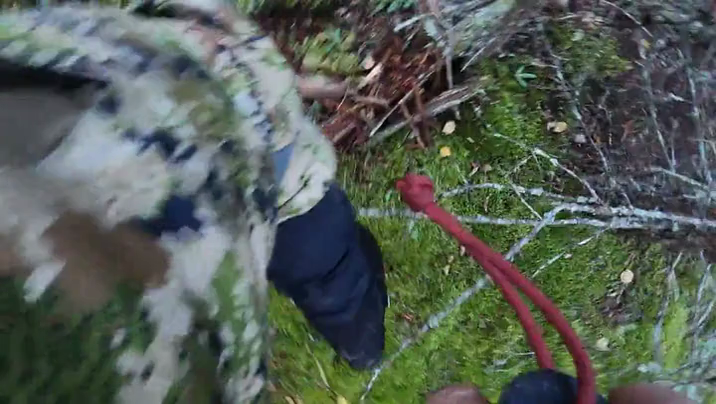 [Image: 2kg6f69yxhfq.png]