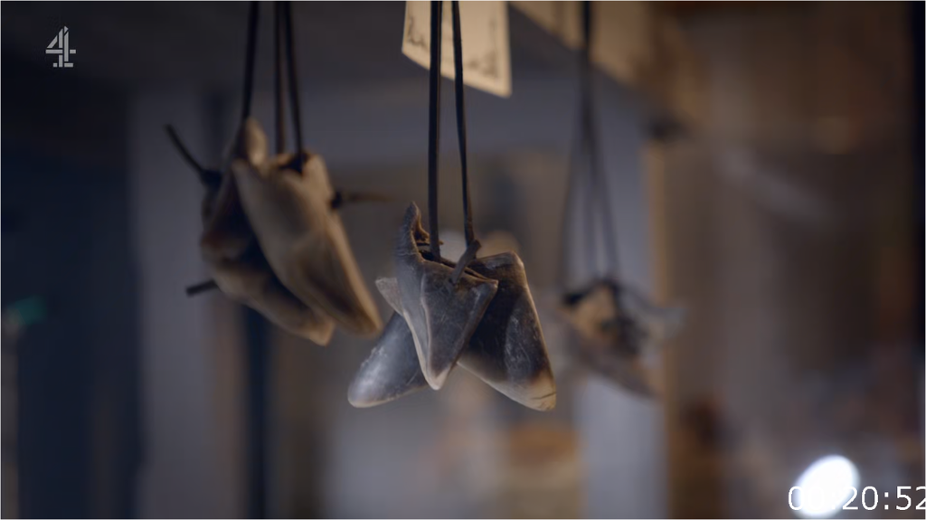 [Image: z6u0lu6lcjn2.png]