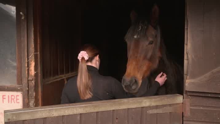 [Image: 7soc3fa2rse0.jpg]