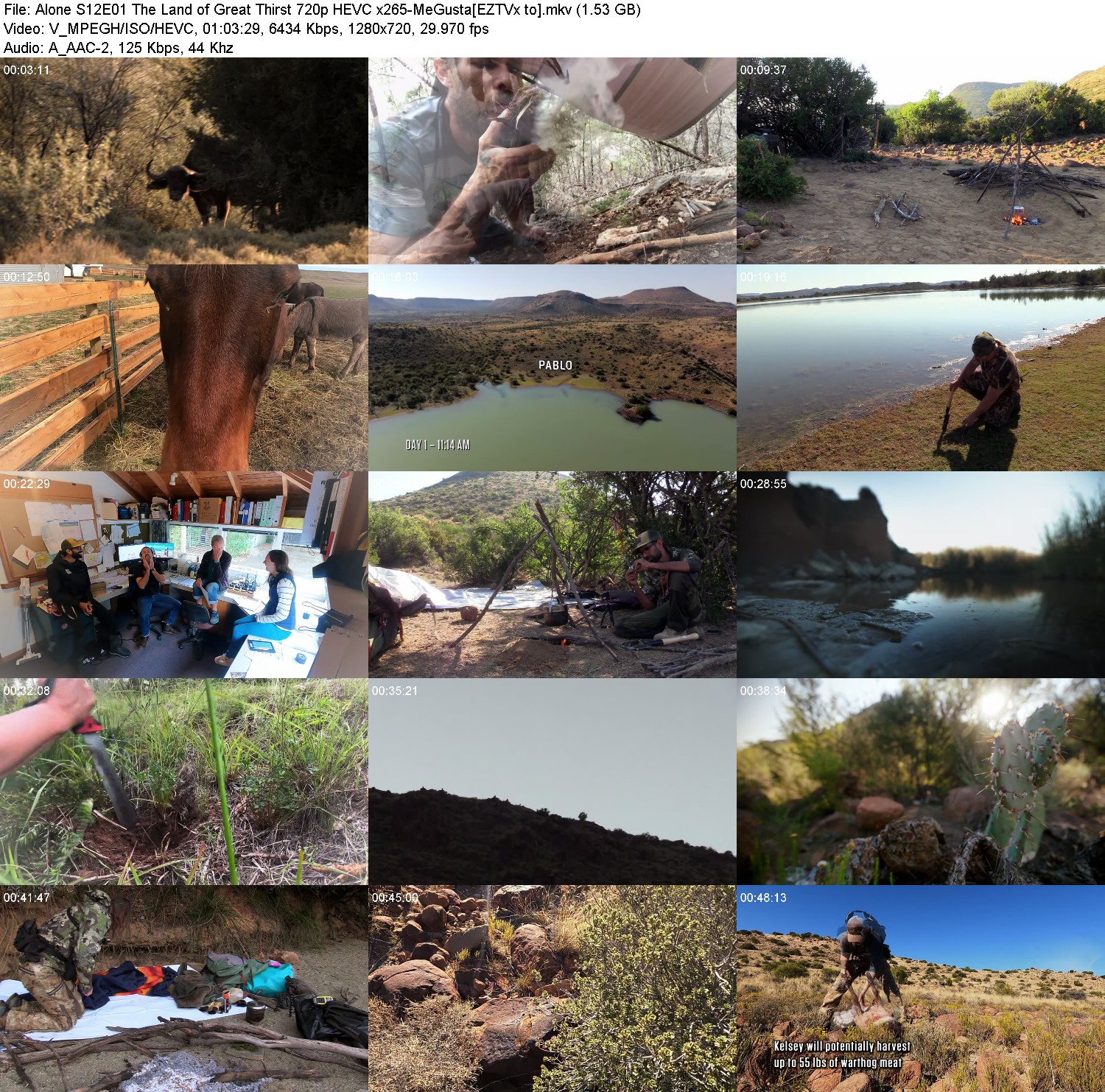 [Image: xui7u75oby8k.jpg]