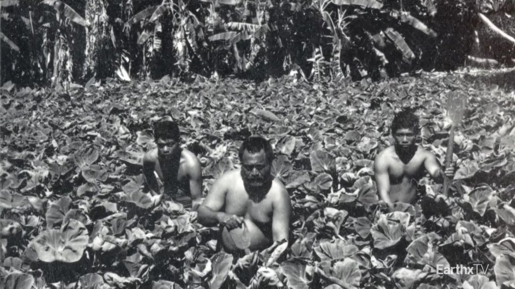 [Image: g65kt3w8bjxd.jpg]