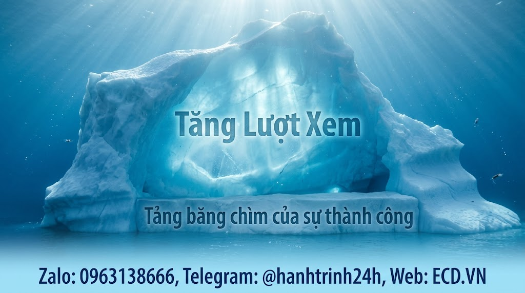 dich vu view tu nhien tiktok