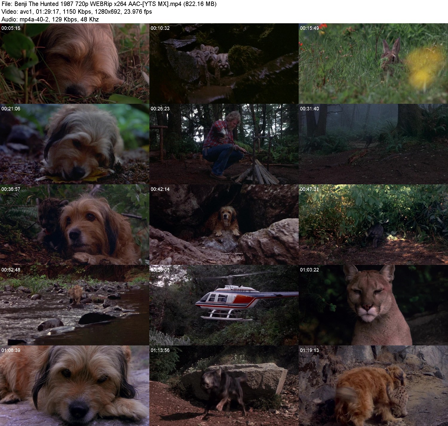 [Image: l19uifva1cl1.jpg]