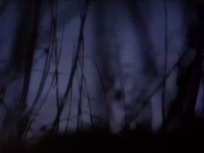 [Image: 45said3l4cth.png]