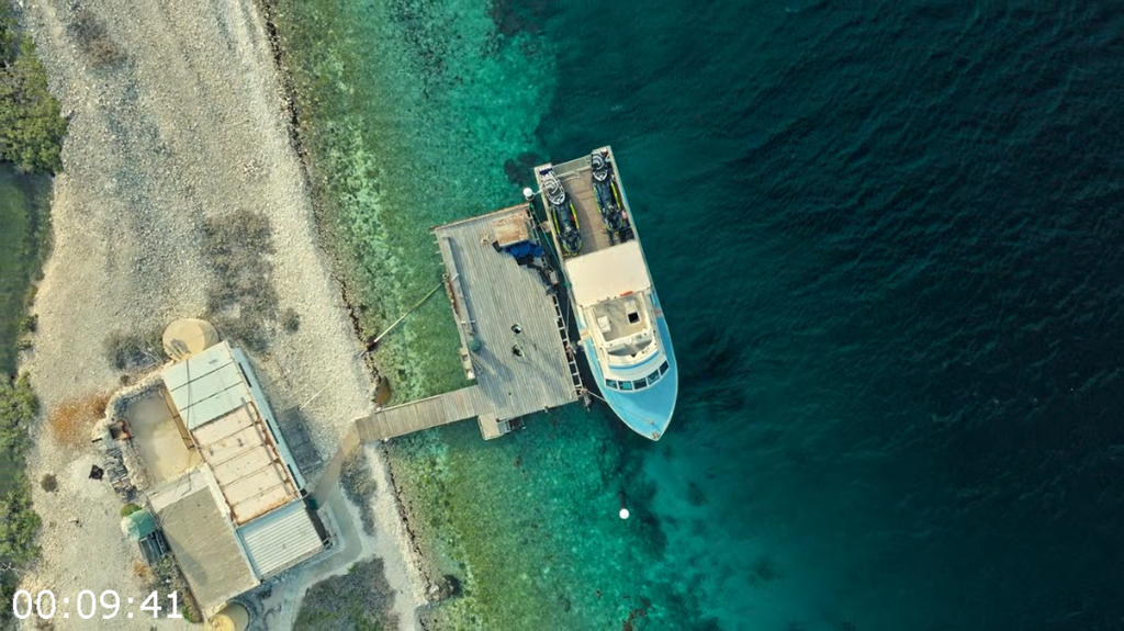 [Image: nr4ongy53v0h.png]