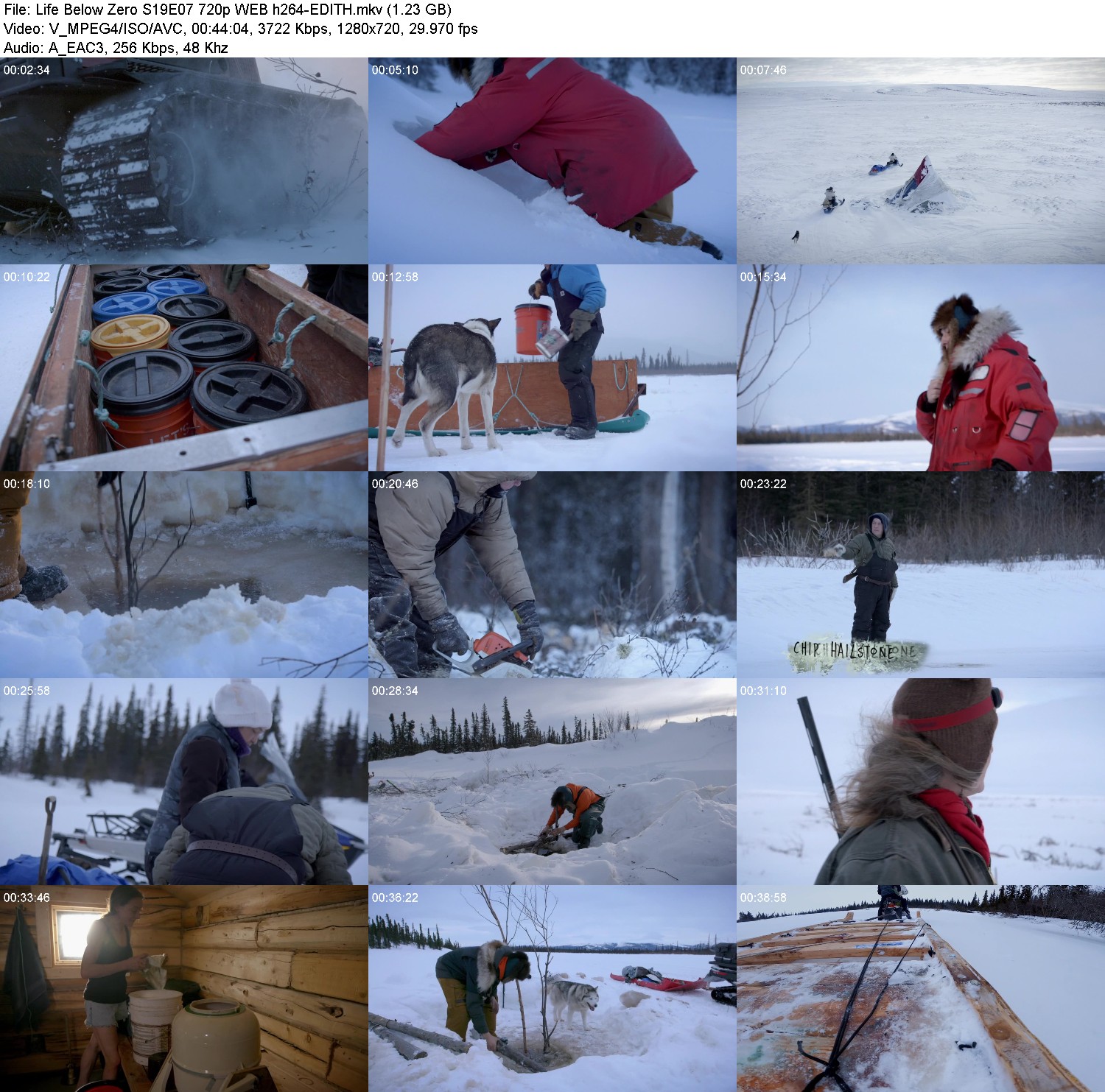 [Image: 9fpm4kepu76t.jpg]