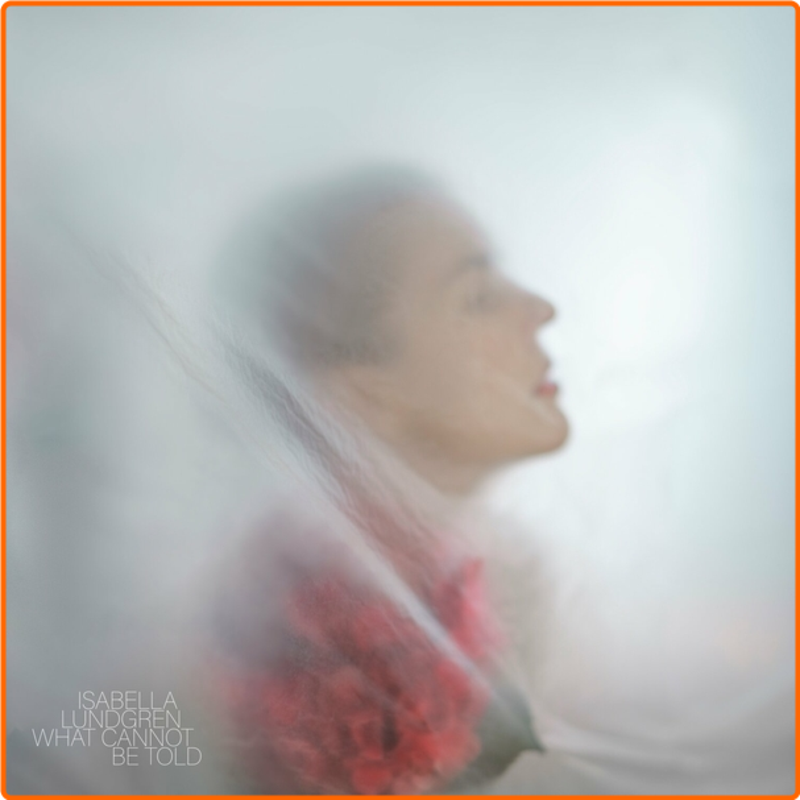 https://i.postimg.cc/bzLdnGm1/k8igeqh520ml.png