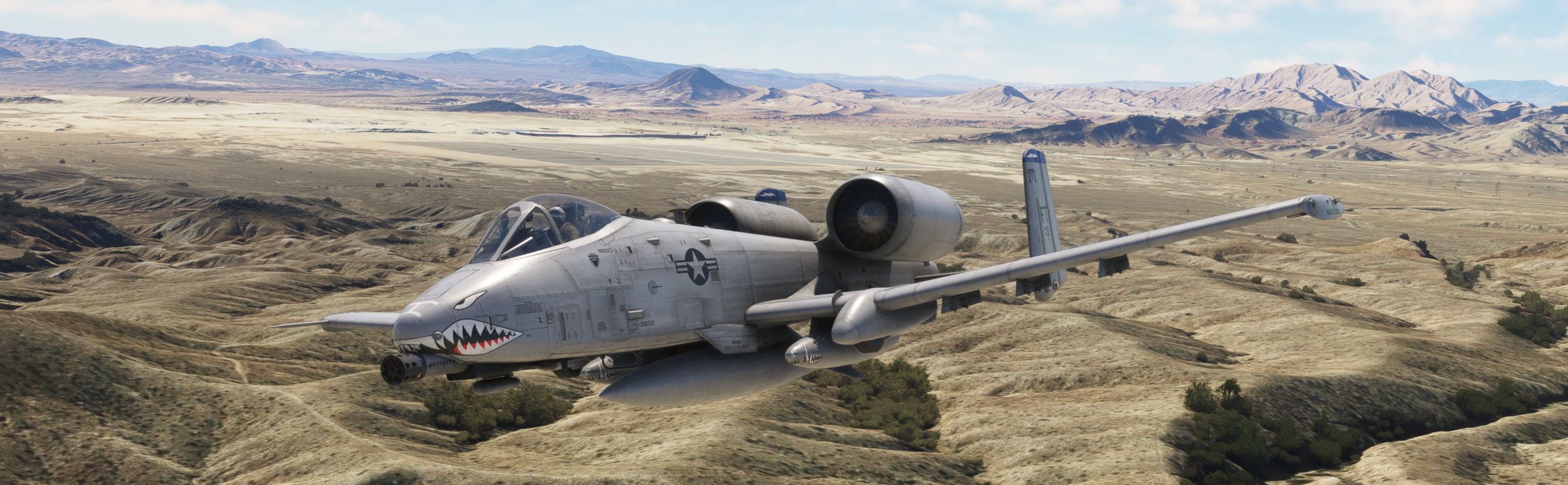 Warthog-Nellis.jpg