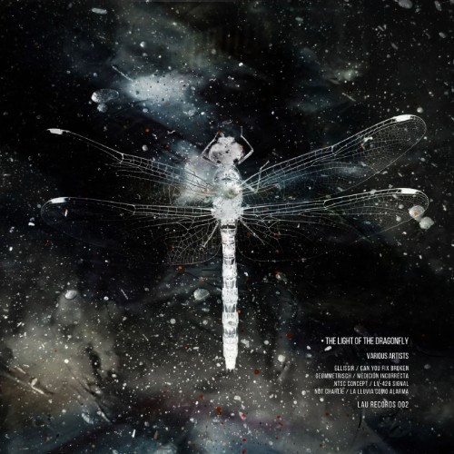 VA - The Light of the Dragonfly (2026)