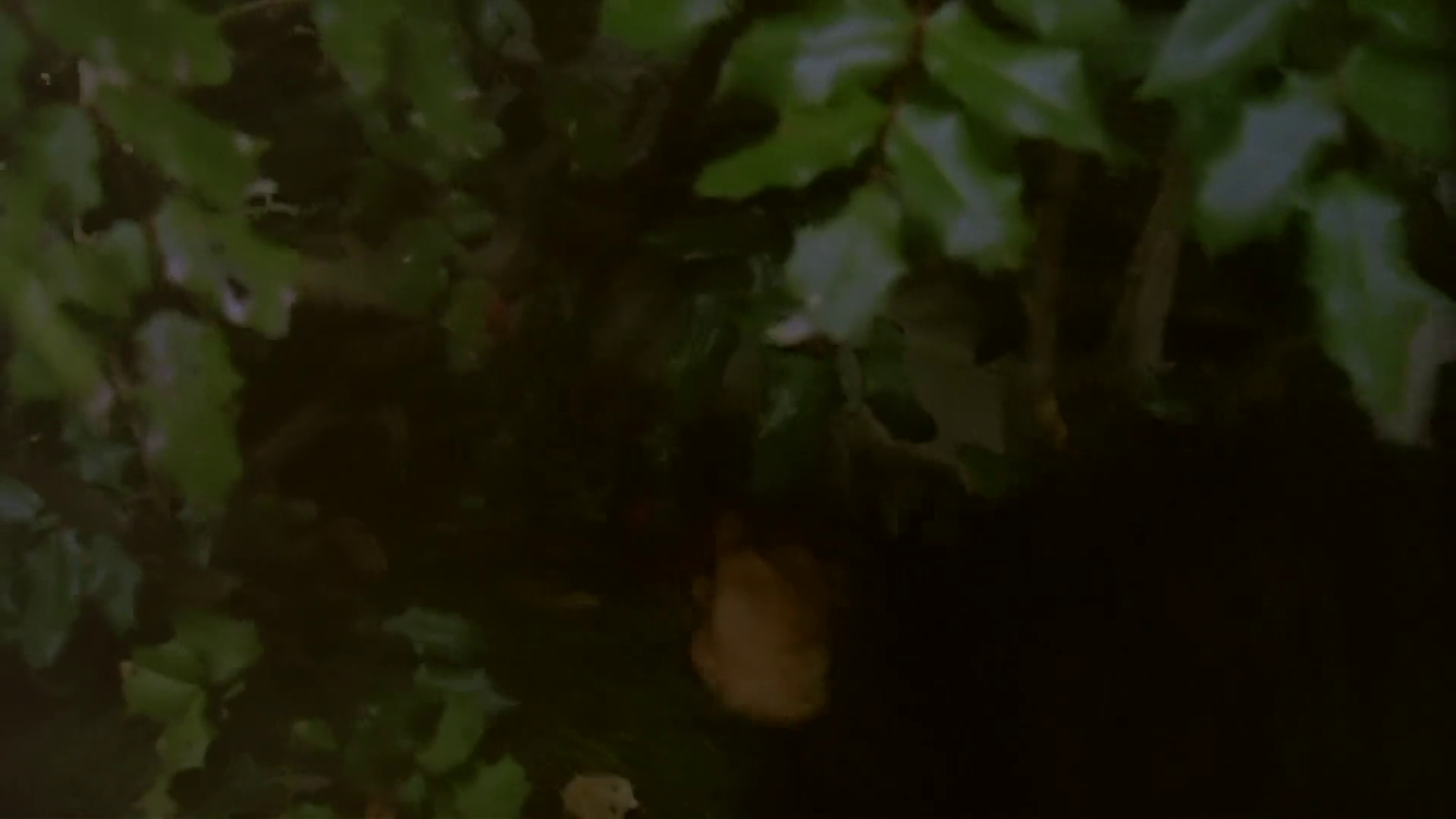 u7jmf88vn2.png