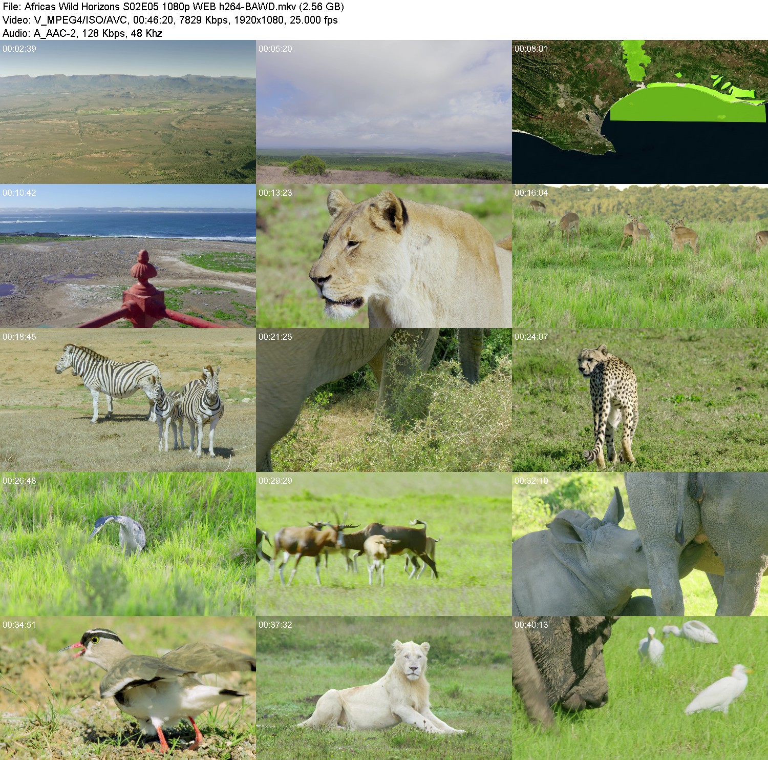 [Image: 3serbx9ey8z5.jpg]