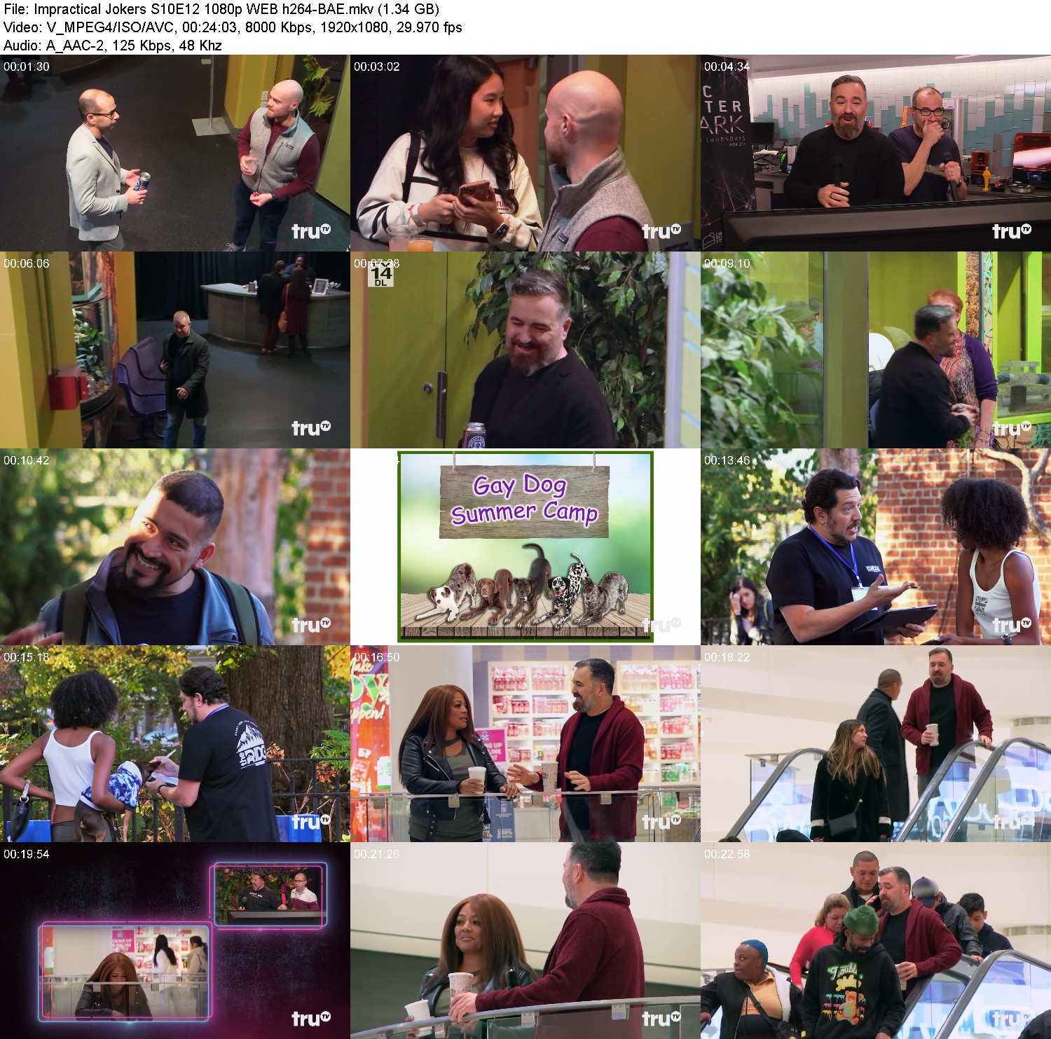 [Image: ubub13giy0z4.jpg]