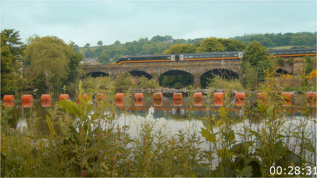 [Image: 315dsuchs6kv.png]