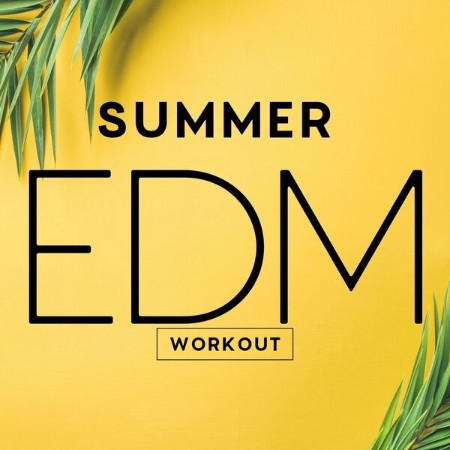 VA - Summer EDM Workout (2025)