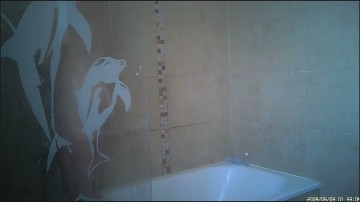 [Image: Voyeur31135152142.jpg]