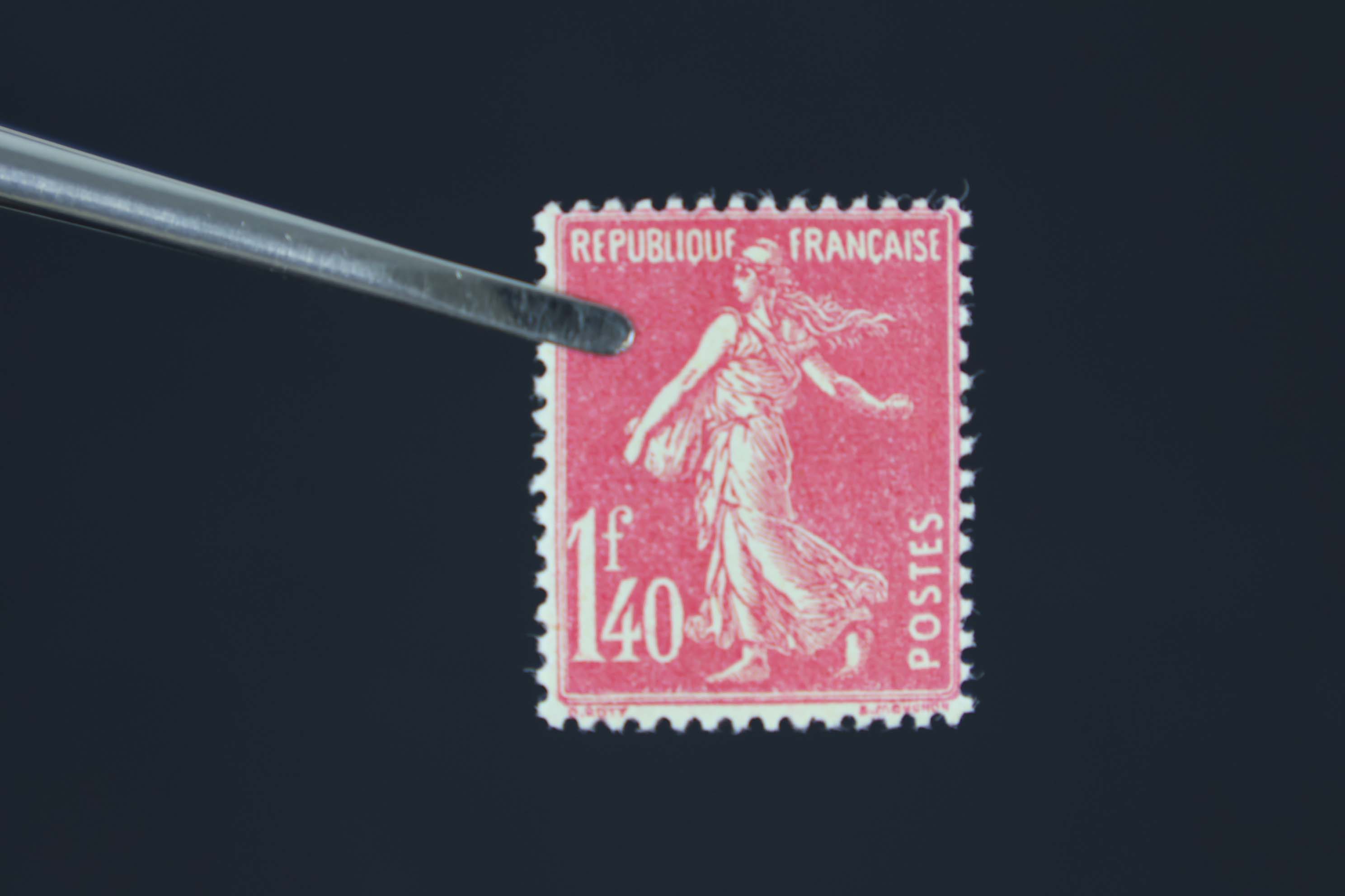 IMG-5735