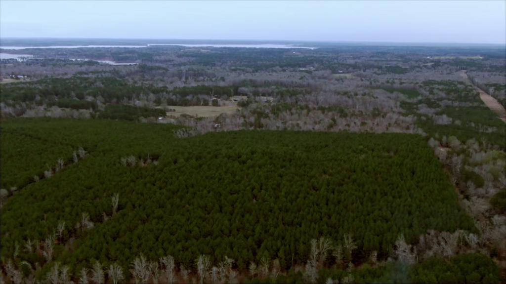 [Image: zx6ctbp225yr.png]