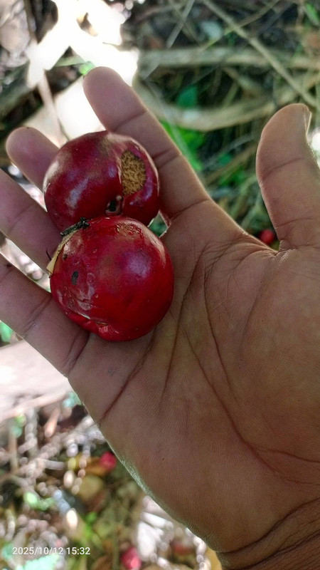 Messenger creation 3DEEF8CB E82E 4E22 B367 1ADBBA4924DD