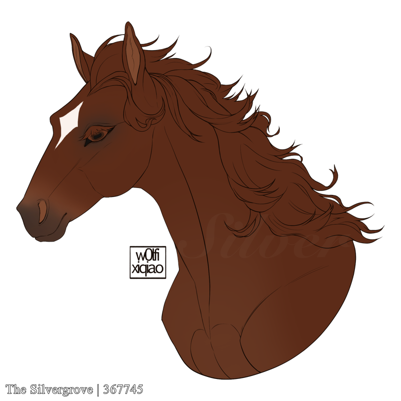 Untitled202-20240830033711.png