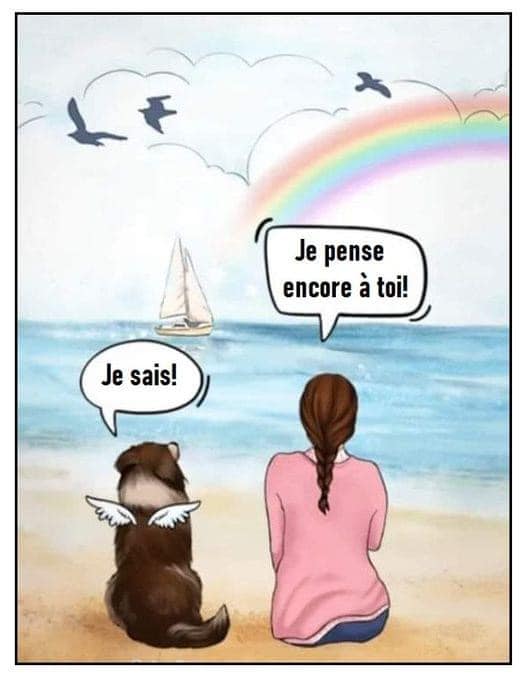 [Image: 384342091-10223160708502131-495600585357222598-n.jpg]