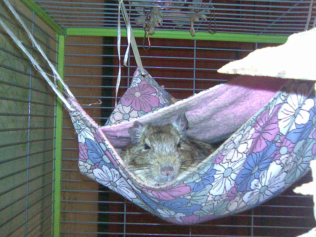 Image053