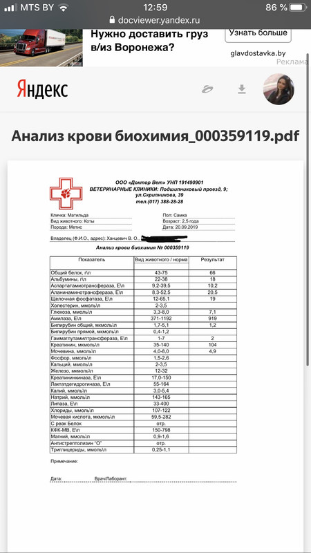 F95068AB-2E55-4C85-83C9-8F99272F19C0