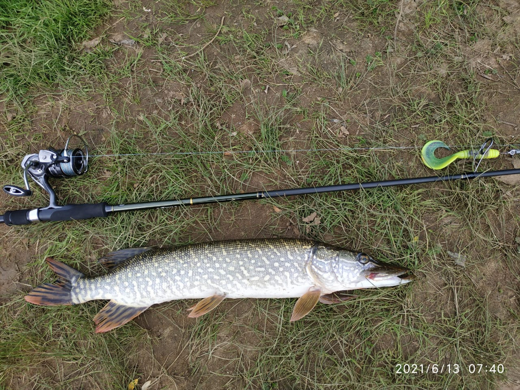 джиг спиннинг судак щука мастер-класс Куляпин Андрей обучение рыбалка троллинг ловля окунь (1)