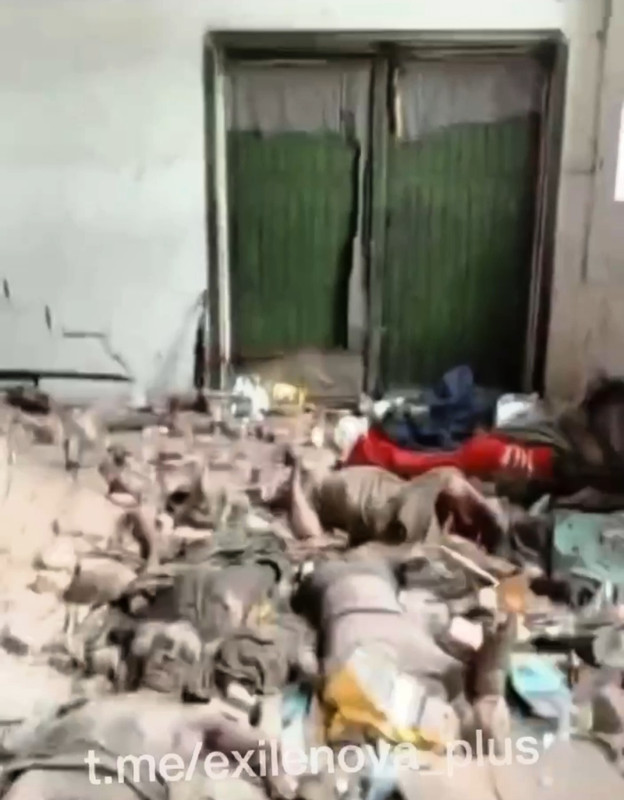 Screenshot_20241120_170507_Telegram