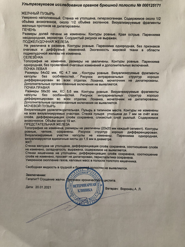 0E76C203-AB78-4F5E-BBC5-1D71C3595416