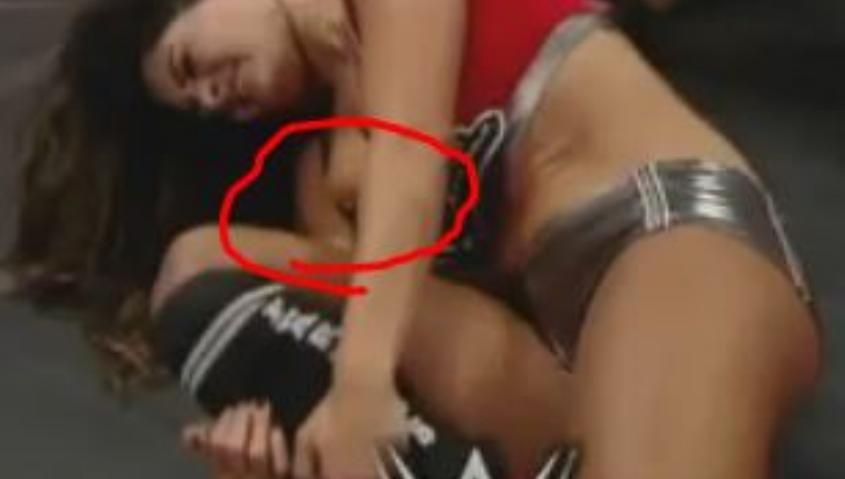 Nikki and Brie Bella Nude