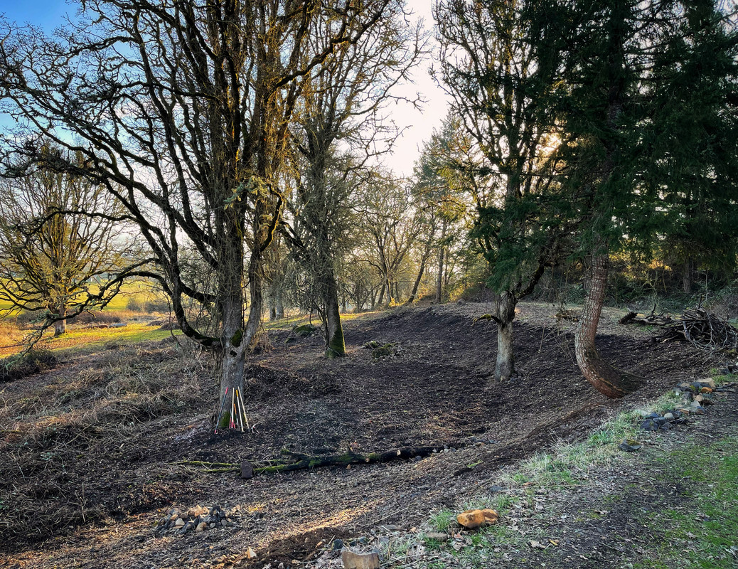 CAA81776-4658-4128-AD19-CFB44A019536