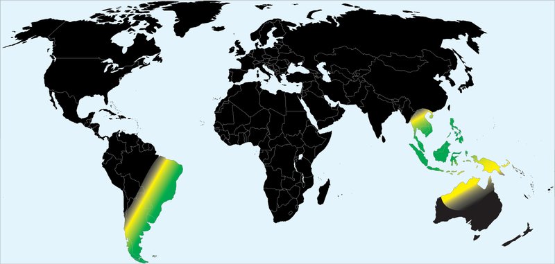world.jpg