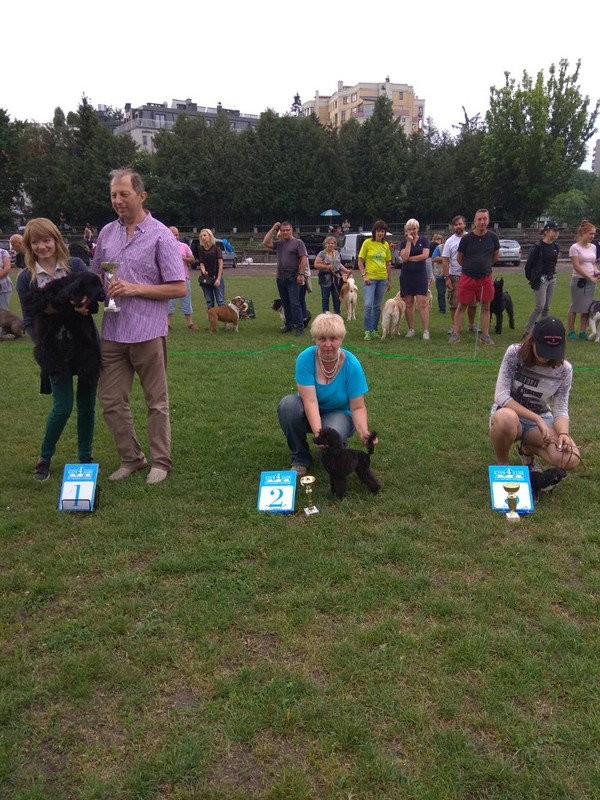 IMG-3458fcb345783fba4ff1273ada780394-V