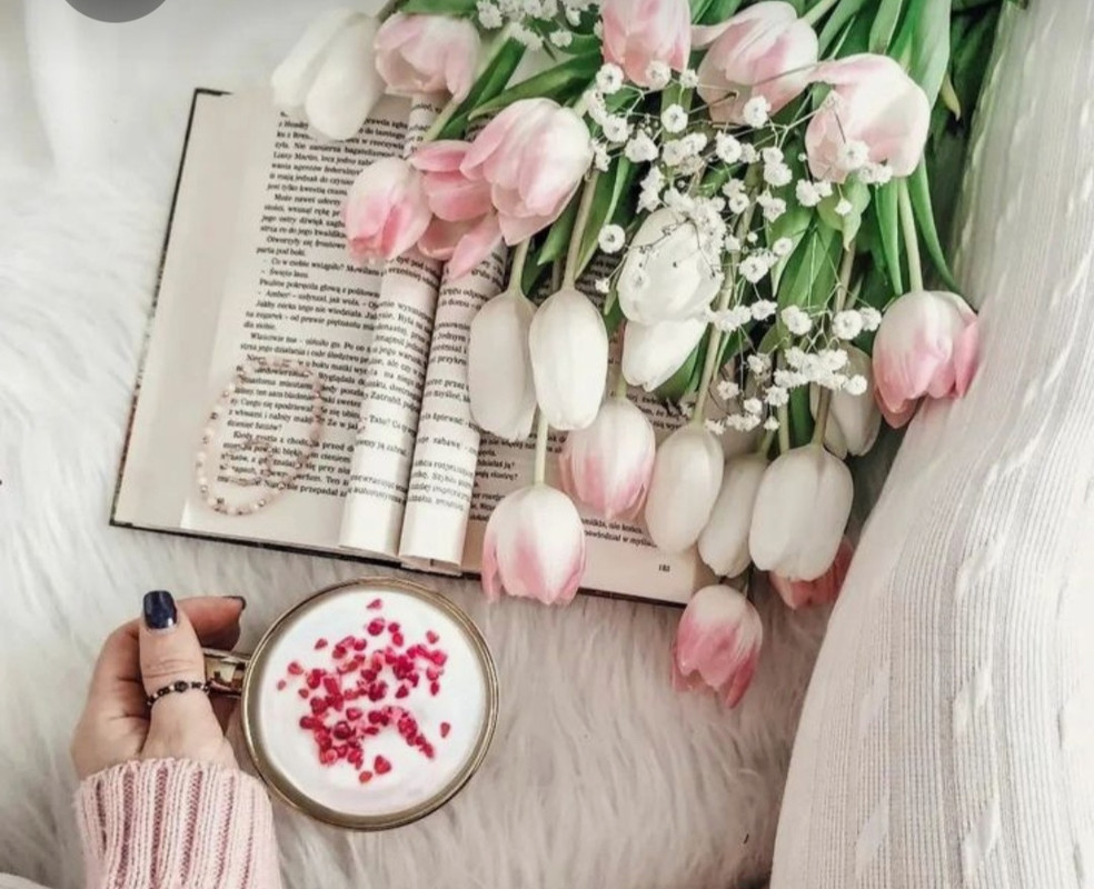 Screenshot_20230722_010231_Pinterest