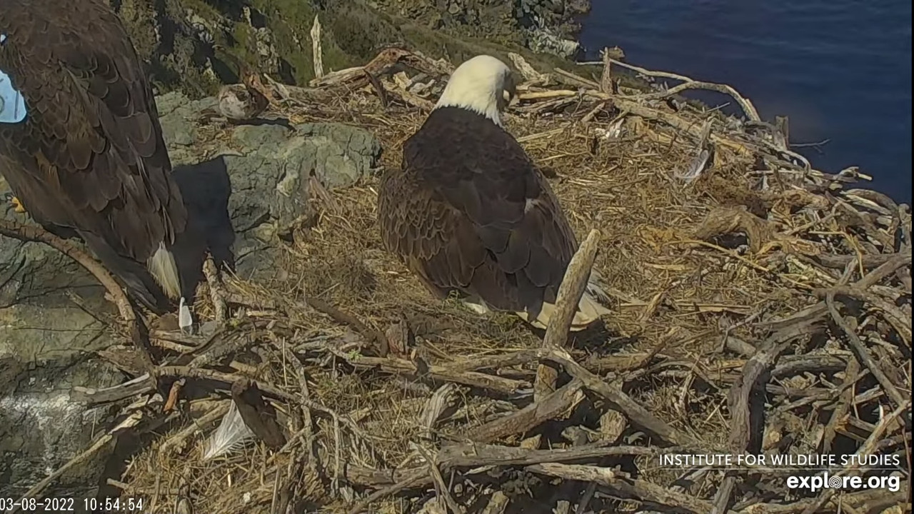 8FC674BB-BAB5-41E3-8B37-00117E483924