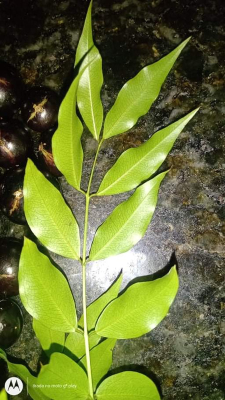 WhatsApp Image 2020-12-20 at 00.10.49 (10)