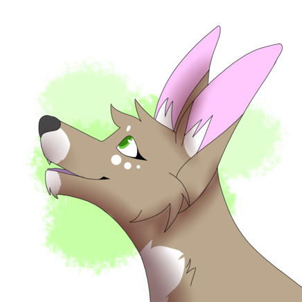 COVER.png
