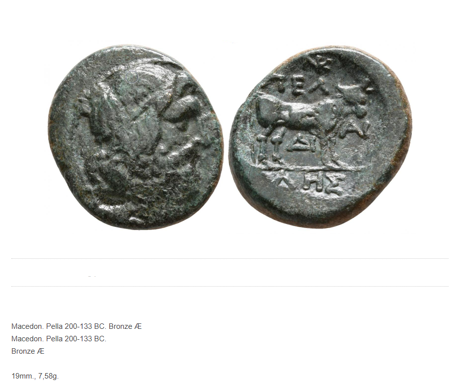 AE20 de Pella. Macedonia Pell