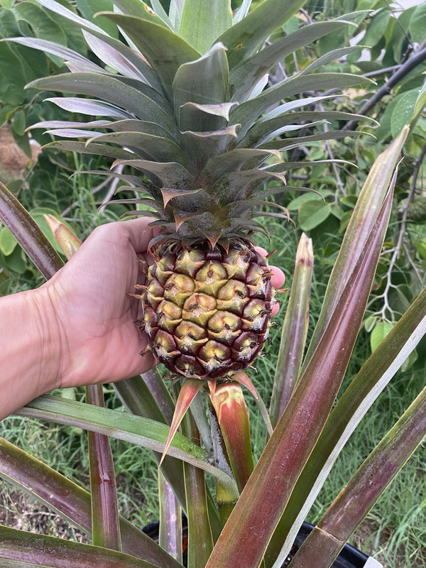 D8C4B1E4-F74F-4199-A1CB-691B32639ED8